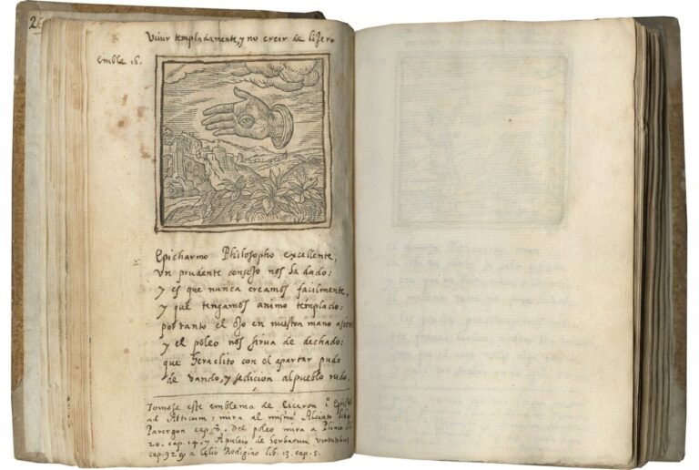 libro abierto con palabras en frances y espanol