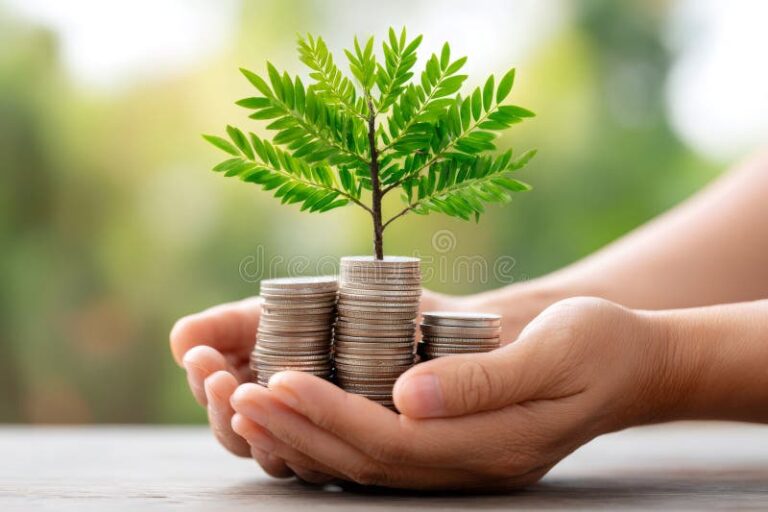 Cuánto puedo ganar realmente si invierto en un plazo fijo 11 manos sosteniendo monedas apiladas crecientes