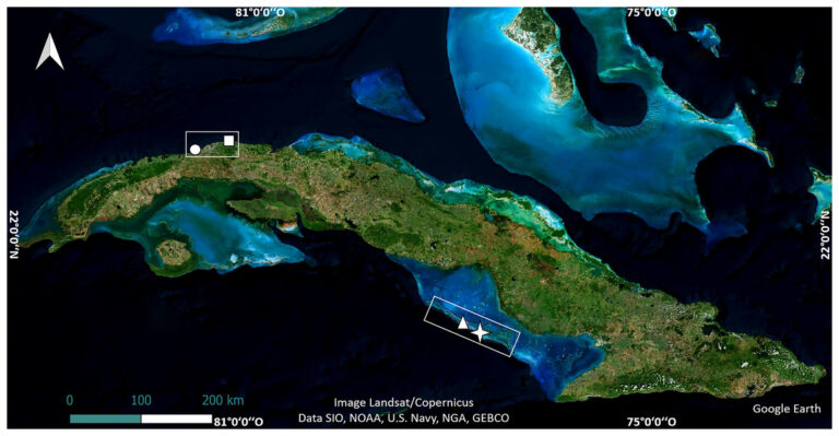 mapa satelital de puerto san martin energia electrica