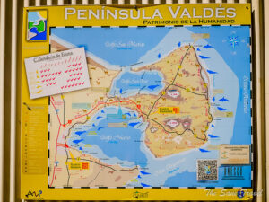 mapa turistico puerto madryn con atracciones naturales