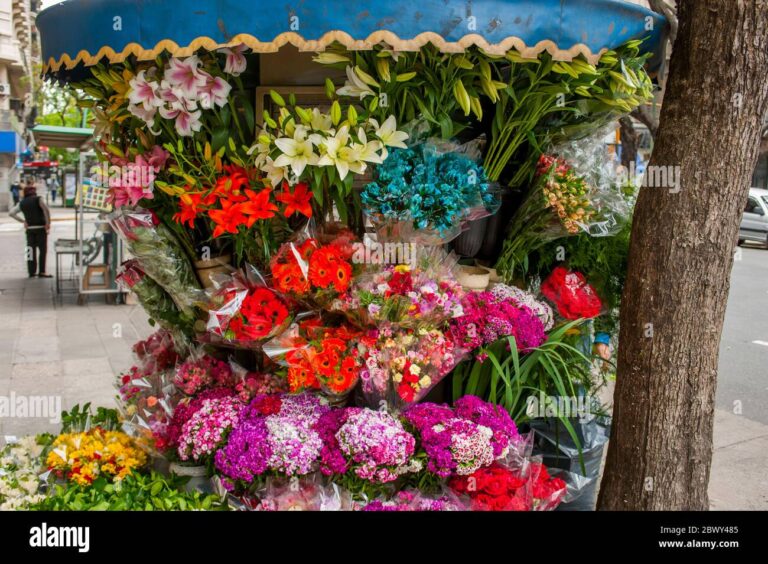 Dónde Comprar Flores Frescas en el Distrito Federal de Argentina 2 mercado de flores coloridas en buenos aires