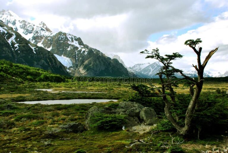 paisaje natural montanas y campos argentina