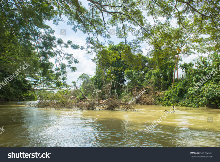 Qué actividades se pueden hacer en Río de Oro Córdoba 3 Qué actividades se pueden hacer en Río de Oro Córdoba