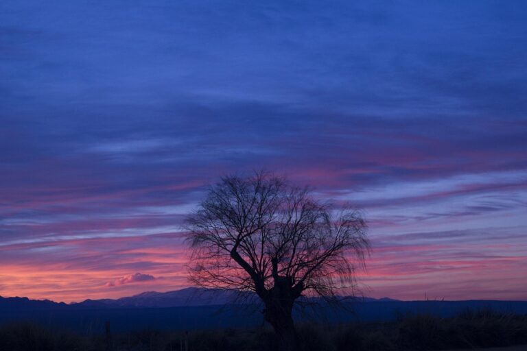 Cuál es el significado de "Cómo quieres que te quiera Mendoza" 2 paisaje romantico de mendoza al atardecer