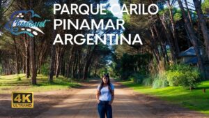 personas disfrutando parque natural bosque carilo