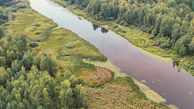 Qué significa la expresión "Lo que el río trae" en Argentina 4 Qué significa la expresión «Lo que el río trae» en Argentina